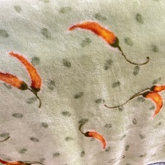 決まりました　西川毛布の画像