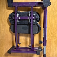 レッグマジックXの画像