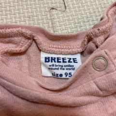 ワンピース　95 の画像