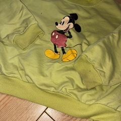 ミッキートレーナー100の画像