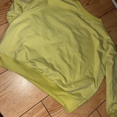 ミッキートレーナー100の画像