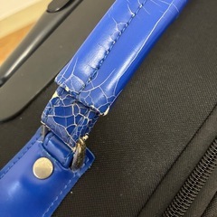 キャリーケースの画像