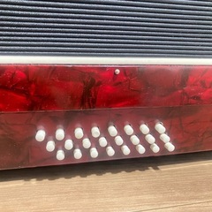 アコーディオン🪗の画像