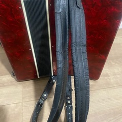 アコーディオン🪗の画像