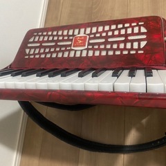 アコーディオン🪗の画像