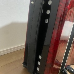 アコーディオン🪗の画像