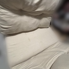 ソファーベッドの画像