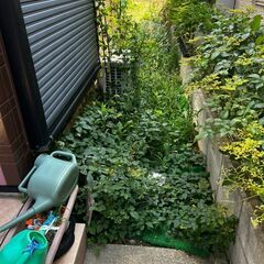 草むしり・簡単な片付け作業スタッフ募集の画像