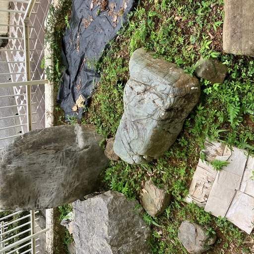 庭石