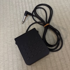 CASIO プリヴィア px100の画像