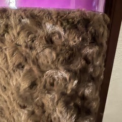 カーペットの画像