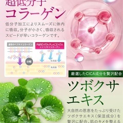 🌟新品未使用🌟 プラセンタサプリ30日分の画像