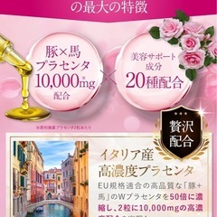 🌟新品未使用🌟 プラセンタサプリ30日分の画像