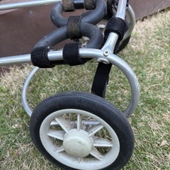 犬用車イスの画像