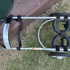 犬用車イスの画像