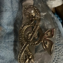 髪留めセットの画像