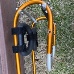 犬用車イスの画像