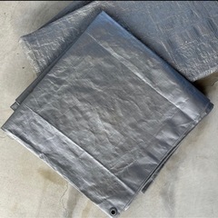 【決まりました】シルバーシートの画像