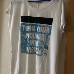 ⑭レディースTシャツの画像