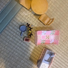 初めてのシルバニアファミリー
の画像