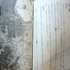 【本】地名に隠された「東京津波」　谷川彰英著　講談社+α新書発行　2012年の画像