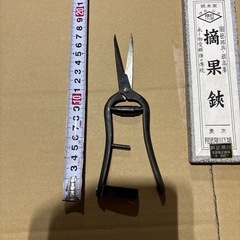 果物用はさみ
の画像
