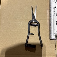 果物用はさみ
の画像