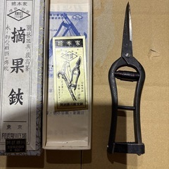 果物用はさみ
の画像