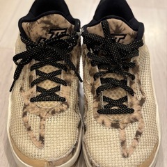 ナイキ ジョーダン ザイオン / テイタム1
の画像