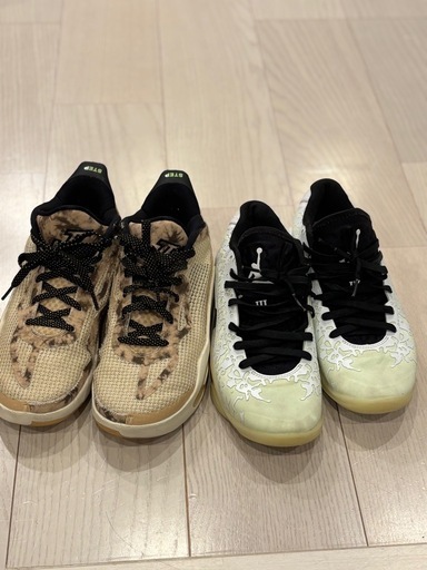 ナイキ ジョーダン ザイオン / テイタム1