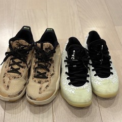 ナイキ ジョーダン ザイオン / テイタム1
