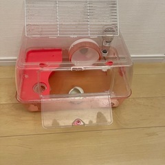 ハムスター飼育セット　ルーミィ45 ②の画像