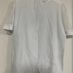 ブラウスの画像