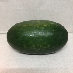 冬瓜　とうがん　野菜　の画像