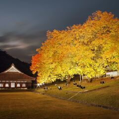 【閑谷学校】11/1~9 17:30~20:00 「第２６…