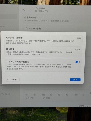 【美品】MacBook Air M3 15インチ／純正マジックマウス付き