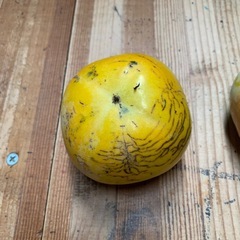 太秋柿　小玉　キズあり　1,000円の画像