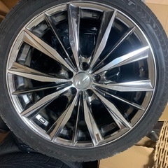 レオニスの画像