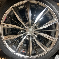 レオニスの画像