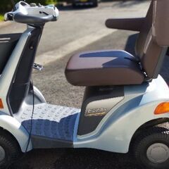 スズキセニアカーの画像