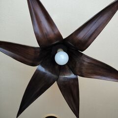 アジアンリゾート　お洒落な天井照明　ココナッツランプ　即使用可能　ブラウンの画像