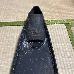 フィン (バラクーダ)片方の画像