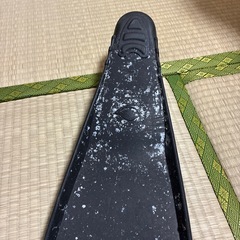 フィン (バラクーダ)片方の画像