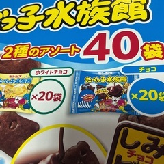 たべっ子水族館　2種のアソート40袋の画像