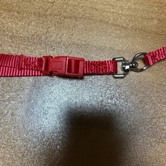 小型犬用リード付きハーネスの画像