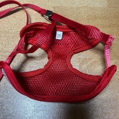 小型犬用リード付きハーネスの画像