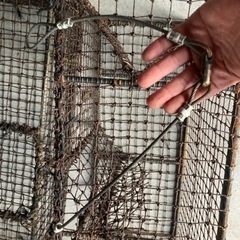 カニ籠🦀の画像