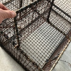 カニ籠🦀の画像