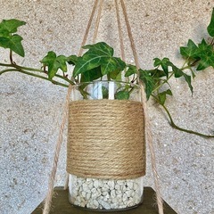 観葉植物　へデラ(イングリッシュアイビー)と木製ハンガーの画像