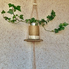 観葉植物　へデラ(イングリッシュアイビー)と木製ハンガー